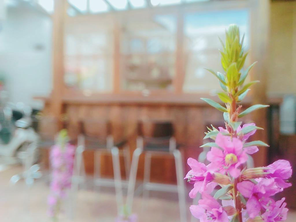 禾恬民宿 - Cafe&Bar 埔里 外观 照片